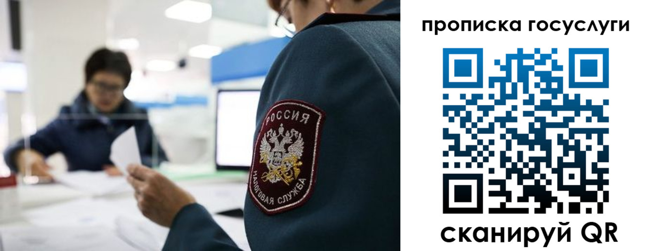 регистрация для школы в Пестово